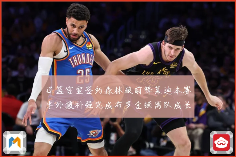 辽篮官宣签约森林狼前锋莱迪本赛季外援补强完成布罗金顿离队成长观察