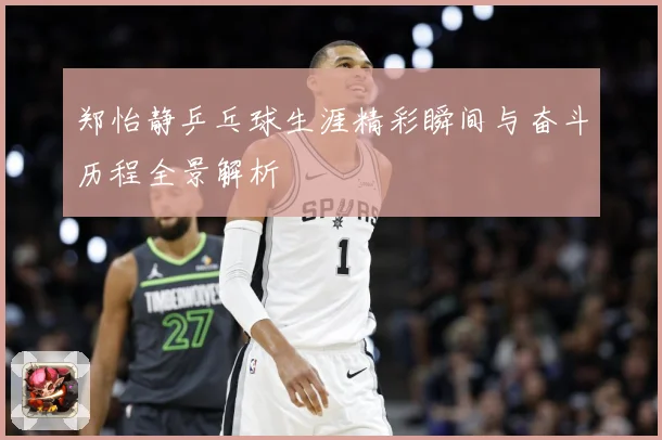 郑怡静乒乓球生涯精彩瞬间与奋斗历程全景解析