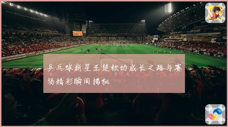 乒乓球新星王楚钦的成长之路与赛场精彩瞬间揭秘