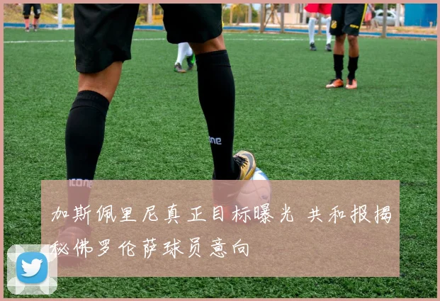 加斯佩里尼真正目标曝光 共和报揭秘佛罗伦萨球员意向